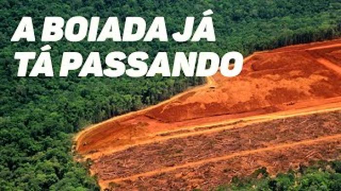 A boiada passou de novo
