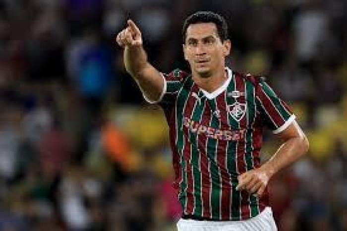 O GANSO E O NINHO TRICOLOR:
