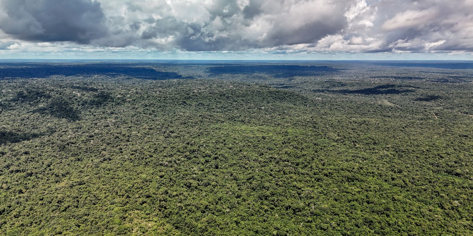 Devastação na Amazônia pode quebrar maior "máquina de chuva" do mundo