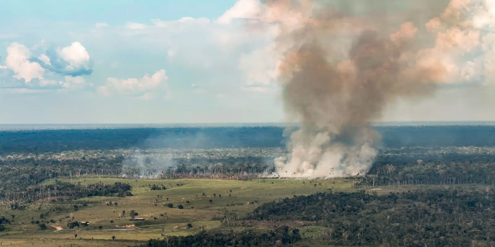 Incêndios avançam sobre o oeste do Pará e deixam ar insalubre