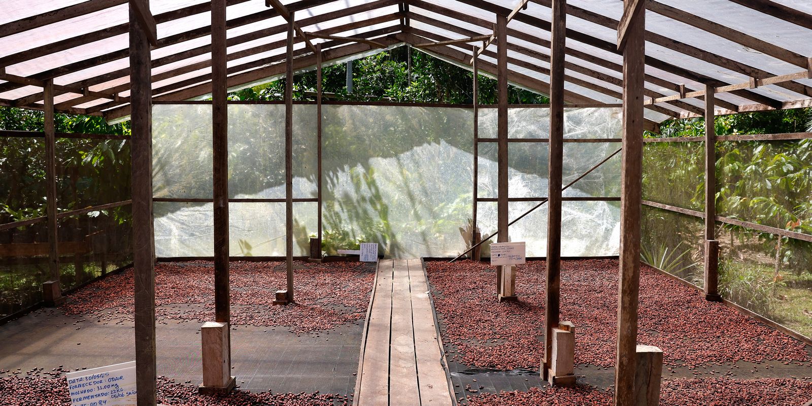 Edital seleciona projetos de inovação no Amazonas, Pará e Rondônia