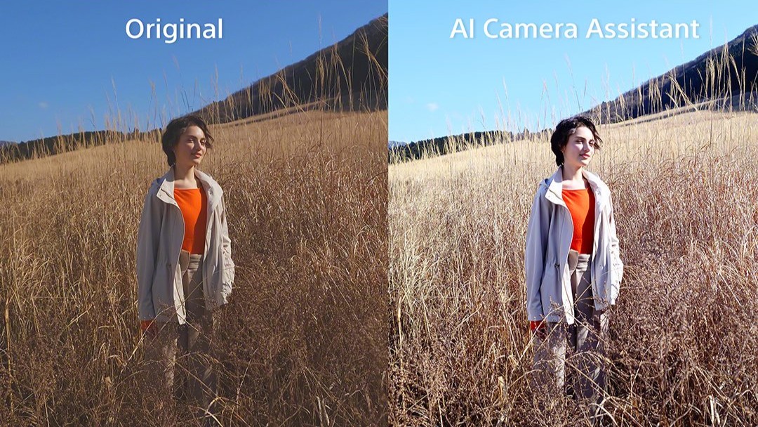 Sony sofre críticas por IA que piora a qualidade das fotos