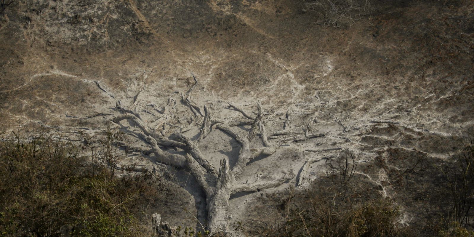 Mudanças climáticas já afetam 85% dos brasileiros, diz pesquisa