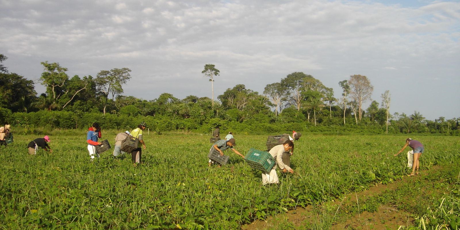 Prêmio para produção acadêmica destaca agricultura familiar