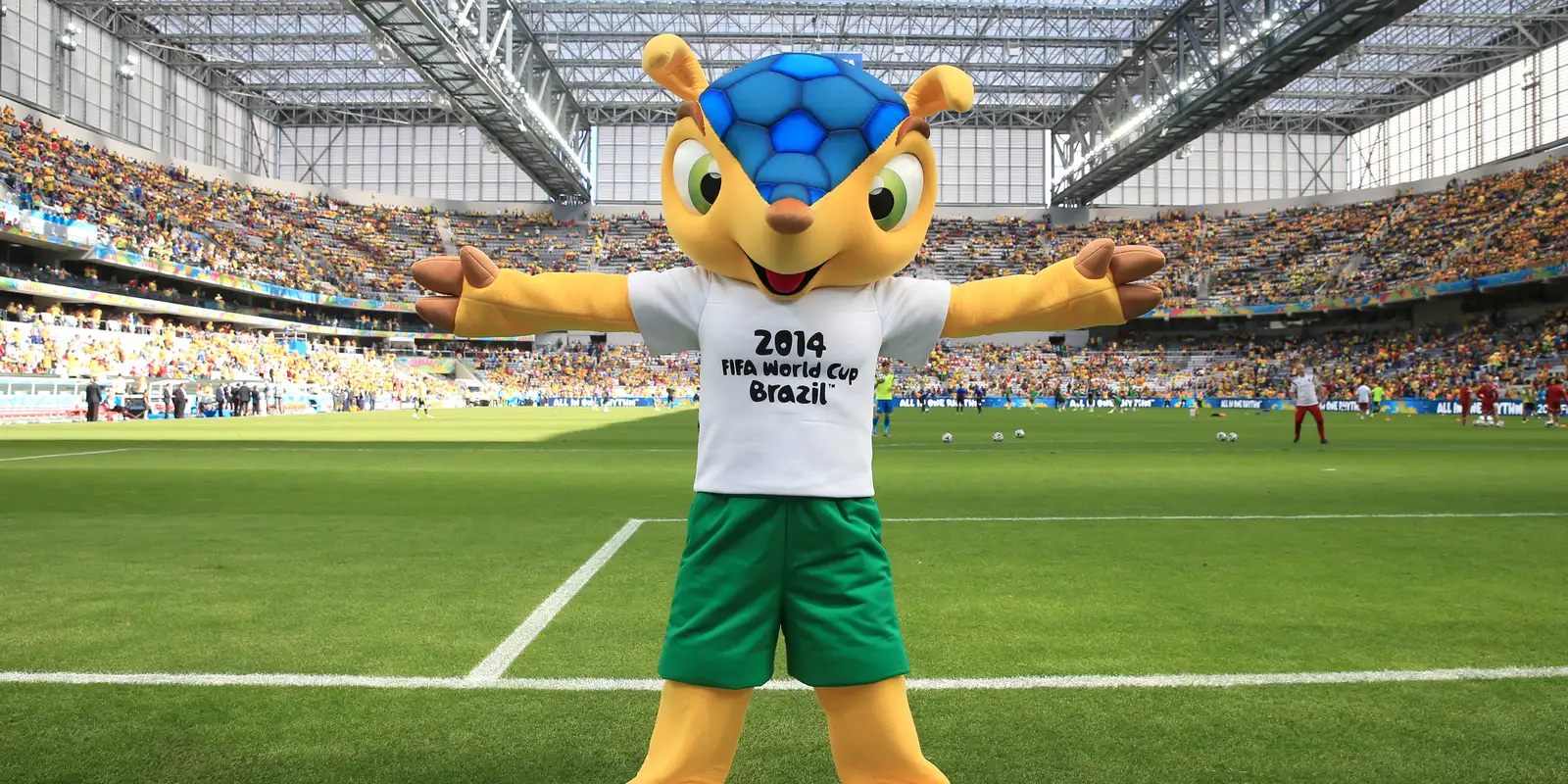 Mascote da Copa de 2014, tatu-bola deve ganhar novo plano de proteção