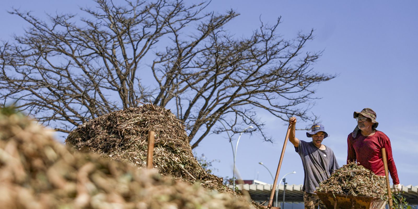 Sistemas agroecológicos de quatro biomas são criados em Brasília
